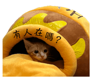 744404069