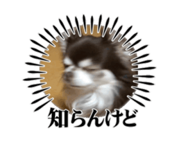 744407806