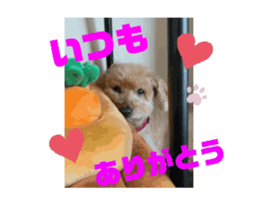 744408119