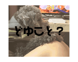 744410989