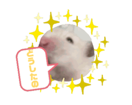 744411346