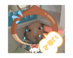 744411357
