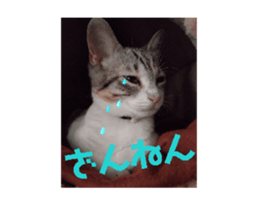 744411688