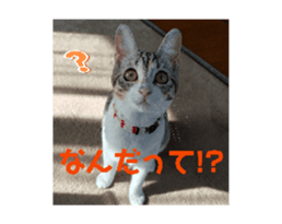 744411689