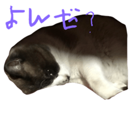 744413787