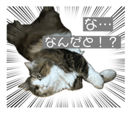 744413888