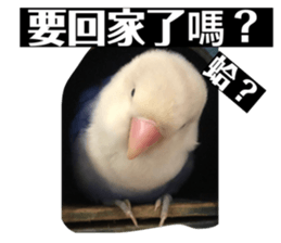 744415650