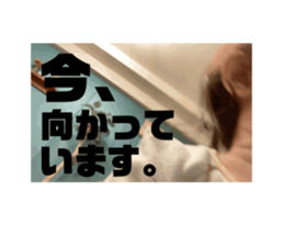 744421995