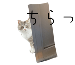 744422756