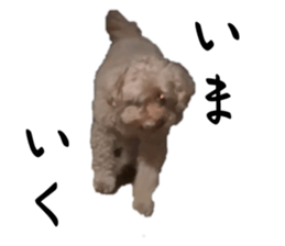 744422815