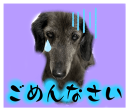 744423026