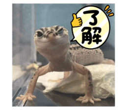 744424940