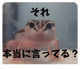 744424943