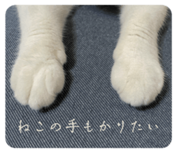 744428513