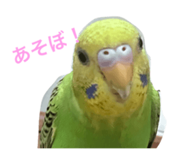 744432651