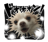 744437155