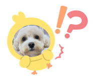 744437156