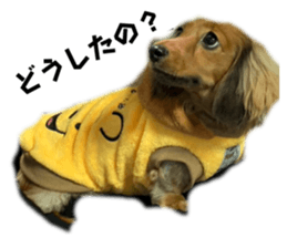 744437306
