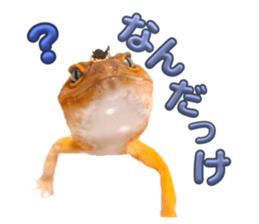 744440976