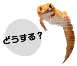 744440993
