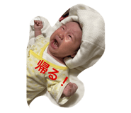 744445616