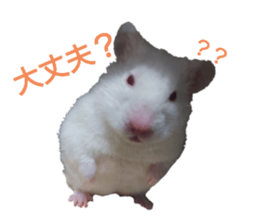 744446038