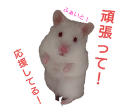 744446049