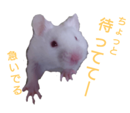 744446050