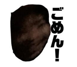744450923