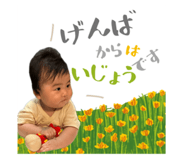 744507731