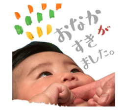 744507733