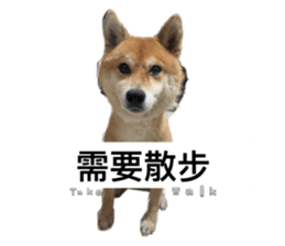 744527010