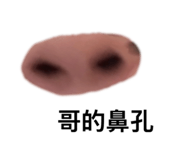744527071