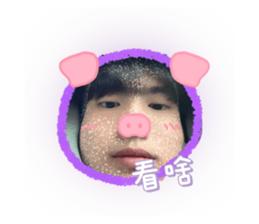 744530116
