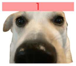 744543913