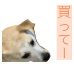 744543924