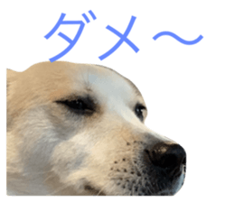 744543933