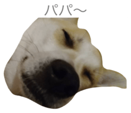 744543939