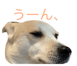 744543941