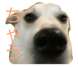 744543943