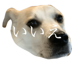 744543950