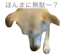 744543952