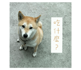 744545243
