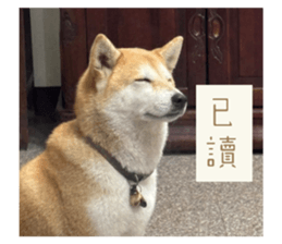 744545244