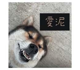 744545247