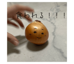 744587645
