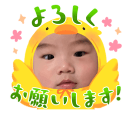 744588335