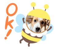 744601263