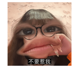 744603051