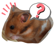 744610998
